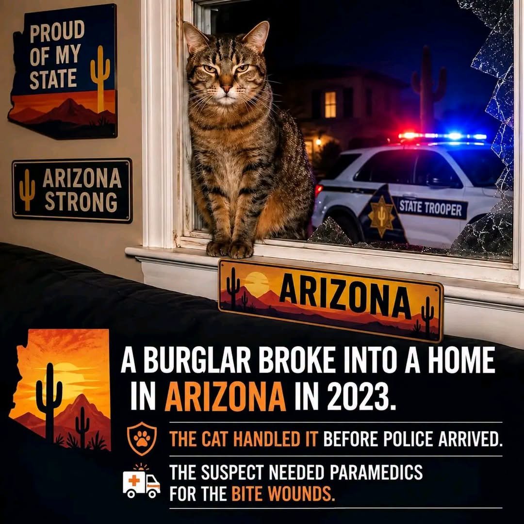 Arizona Criminals Really Picked the Wrong House
