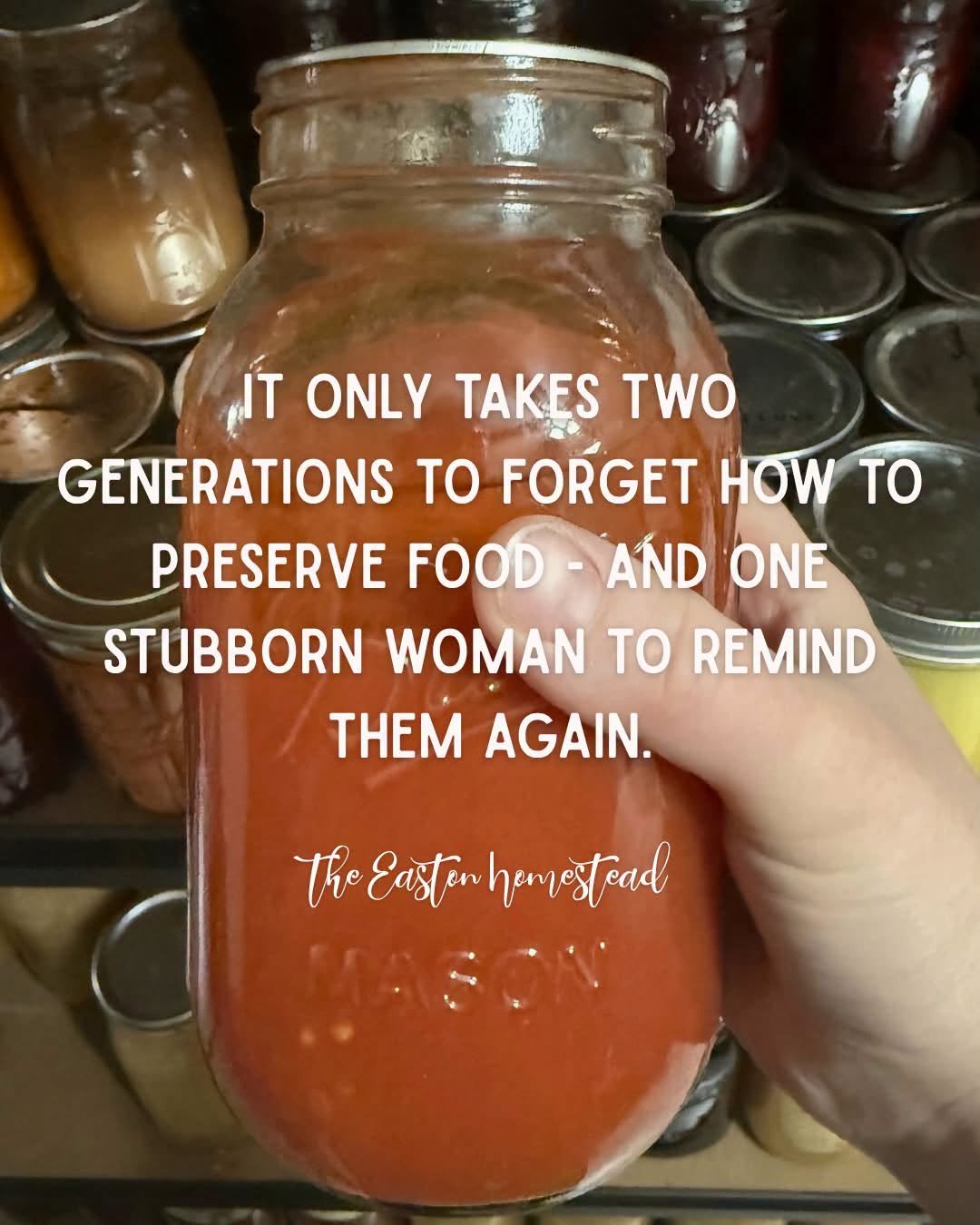 The Food Preservation Skills Every Family Should Learn